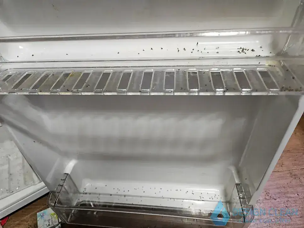 하남시 화재복구 현장 사진 4 — 하남 주방 화재청소·폐기물 정리